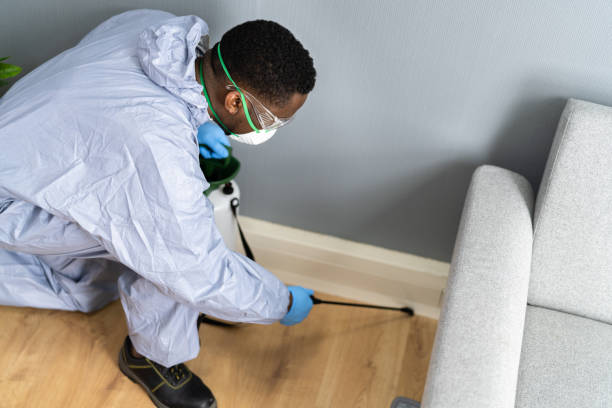 Professional Pest Control in Cortland, OH